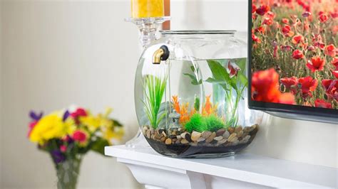 Hassle-Free, Self-Cleaning Betta Fish Tank Kit | River Stones | Food ...