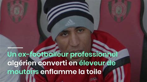 Un ex footballeur professionnel algérien converti en éleveur de moutons