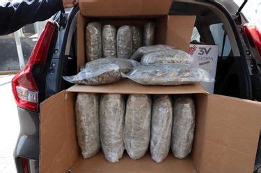 Decomisan M S De Kilos De Marihuana En Ecatepec Edomex Grupo Milenio