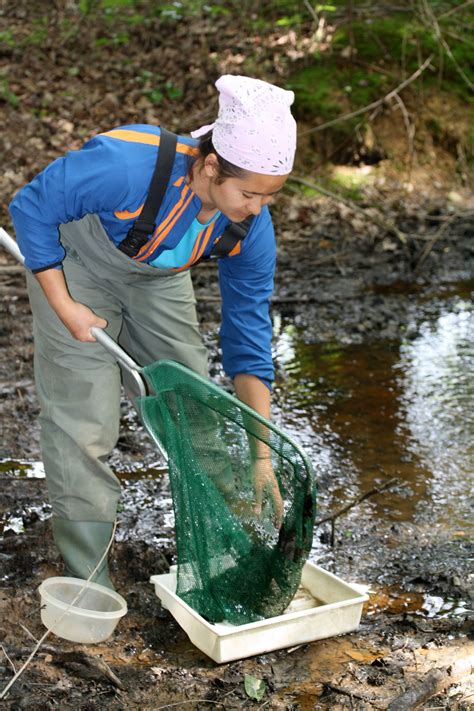 The Ephemeral Pools Project – The Herp Project