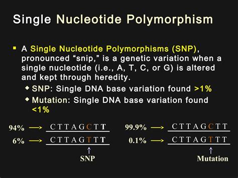 Single Nucleotide Polymorphism