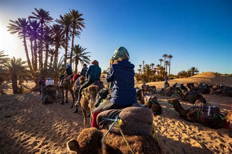 Zagora Days Night Marrakech Gardens Travel