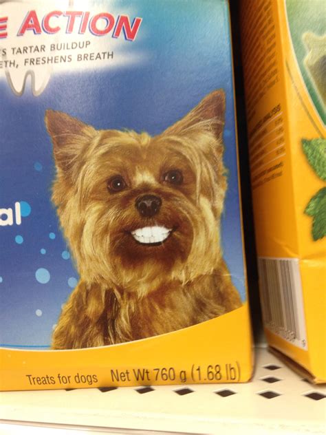 Cursed Dog Teeth : r/Cursed_Images