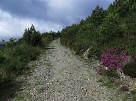 Jakobus Berge H Gel Wald Weg Steil Blume E Flickr