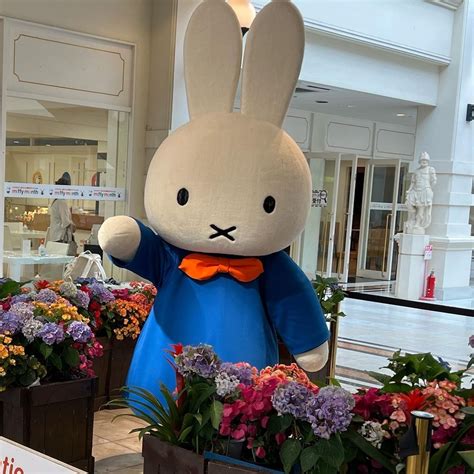 Miffy On Twitter Miffy Is Celebrating Her Birthday At Ichiba