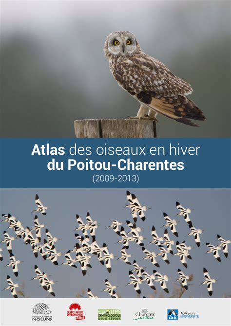 Toutes Les Nouvelles Faune Charente Maritime Org