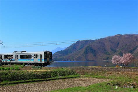 大糸線の桜 一鉄草魂 鉄道風景と乗車記