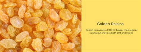 Golden Raisins– Health Benefits, Uses and Important Facts - PotsandPans ...