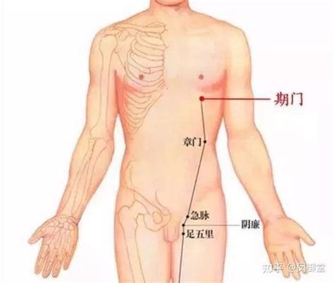 【艾灸】这里“排肝毒”，肝毒一消浑身舒服！ 知乎