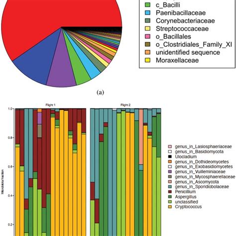 A Pie Chart Of Bacterial Communities Showing The Relative Abundances