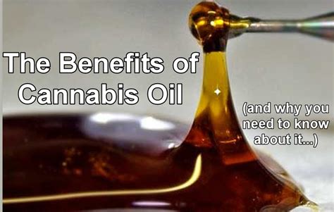 Benefits Of Cannabis Oil And What You Need To Know About It