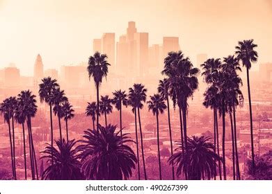 Los Angeles Skyline Palm Trees Foreground Stock Photo 376666267 ...