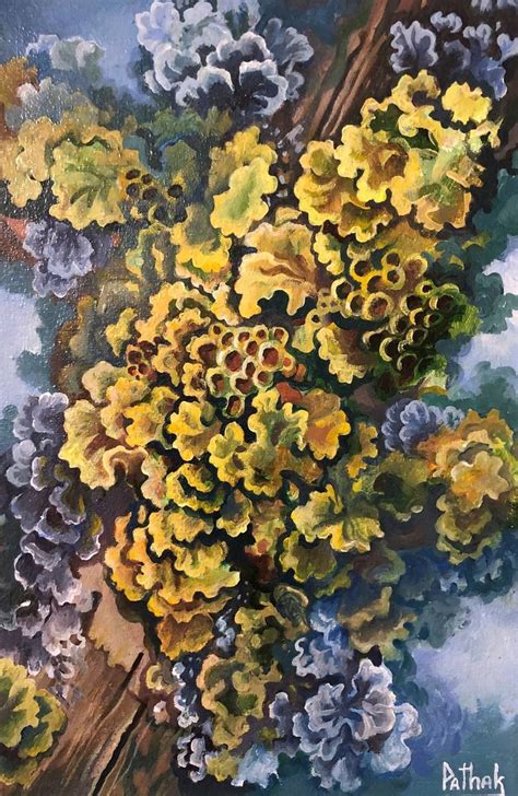 Lichen Painting By Katerina Pathak Saatchi Art