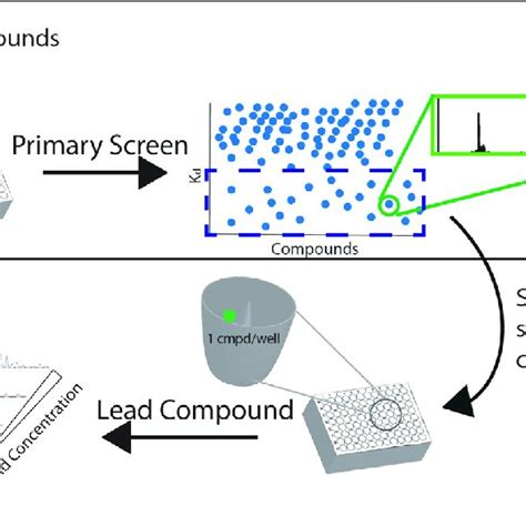 A Screening Cascade With Native Ms The Compounds Of The Library Of Download Scientific