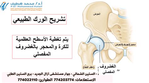 علاج خشونة مفصل الورك الحوض نهائياً