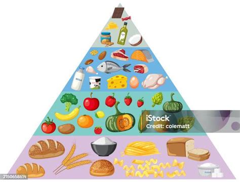 Illustrated Food Pyramid With Various Food Groups Stock Illustration Download Image Now