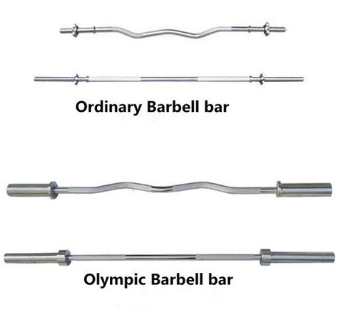 Gym Barbell Length At Lee Patterson Blog