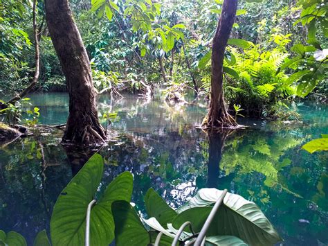 Fotos Gratis Paisaje Rbol Agua Naturaleza Bosque Cascada