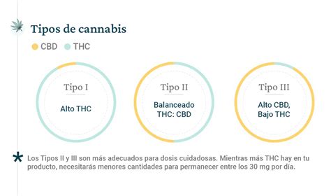 Cómo Dosificar el THC y el CBD Guia Completa Cannigma ES