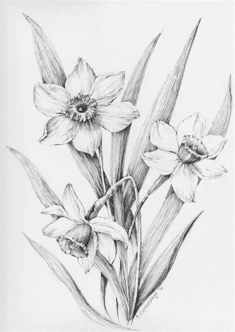 Flowers Pencil Drawing at GetDrawings | Free download