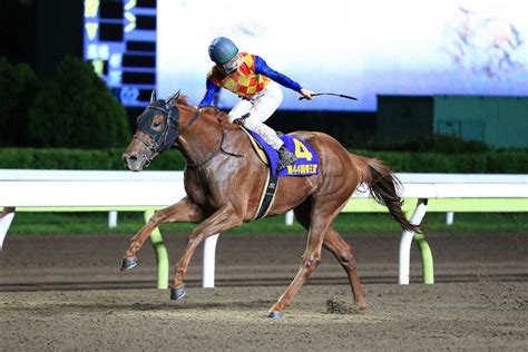 【帝王賞】テーオーケインズ 圧巻3馬身差でg1初制覇！松山「理想的な競馬」― スポニチ Sponichi Annex ギャンブル