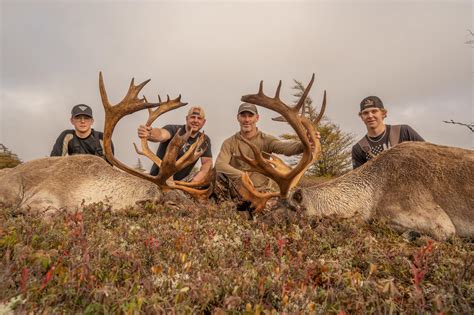 Newfoundland Trophy Woodland Caribou Hunt In Port Blandford