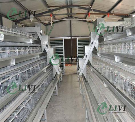 Hot Galvanized Poultry Battery Farm Automatic Layer Chicken Cages Type