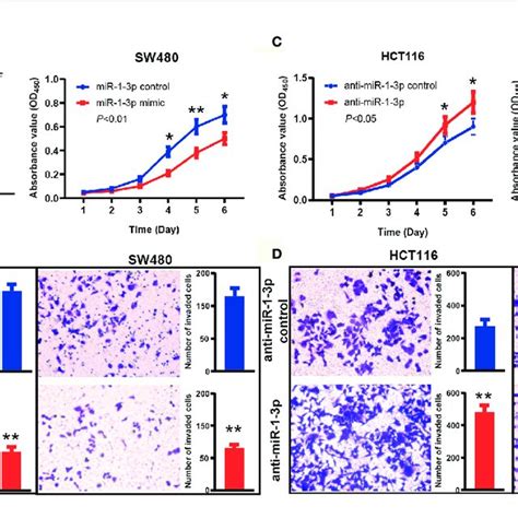 MiR 1 3p Suppressed CRC Cell Proliferation And Invasion A The