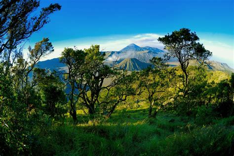 Keindahan Gunung Bromo | MULTI INFO