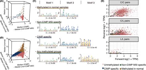 Differential Regulation Of CpG Island Methylation Within Divergent And