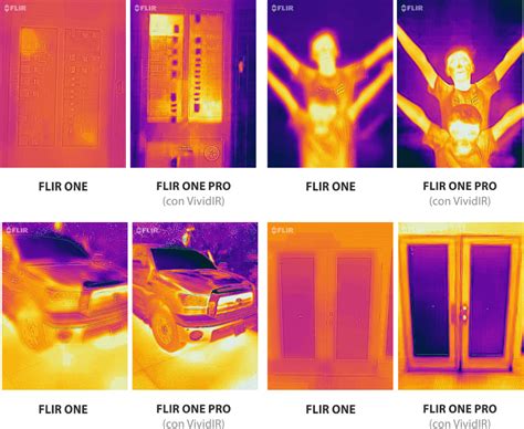 Flir Sex Telegraph