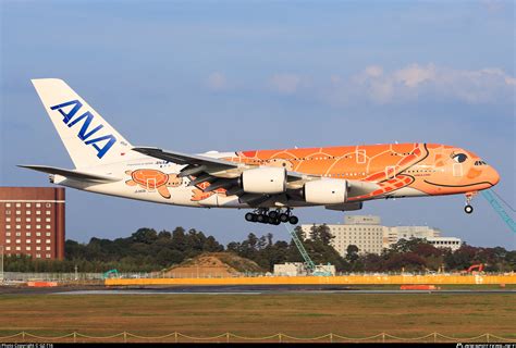 JA383A All Nippon Airways Airbus A380 841 Photo By GZ T16 ID 1526180