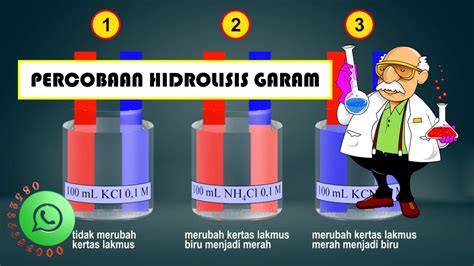 Percobaan Hidrolisis Garam Menentukan Sifat Dan Ph Larutan Garam Youtube