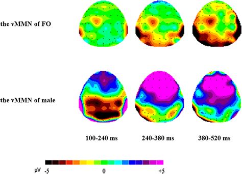 Sex And Physiological Cycles Affect The Automatic Perception Of