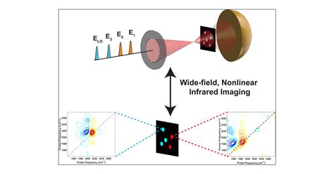 Spatially Resolved Two Dimensional Infrared Spectroscopy Via Wide Field Microscopy Acs Photonics