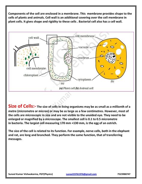 Chapter 8 Cell Structure And Function 6