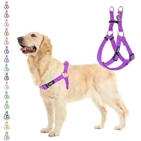 Top Paw Harness The 15 Best Products Compared Wild Explained