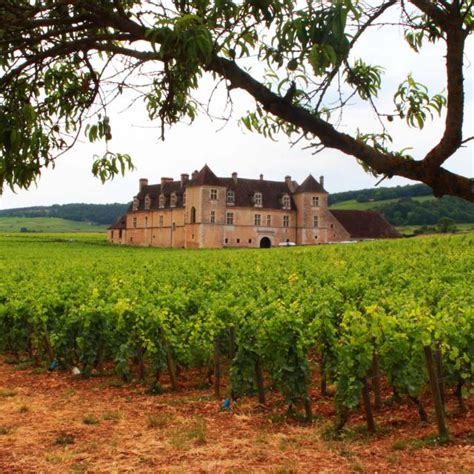 Chateau Du Clos De Vougeot Beaune Et Le Pays Beaunois Tourisme