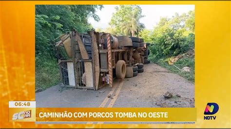 Acidente na SC 155 Caminhão porcos tomba em Xavantina