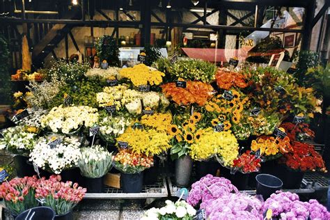 Qu Es La Floricultura