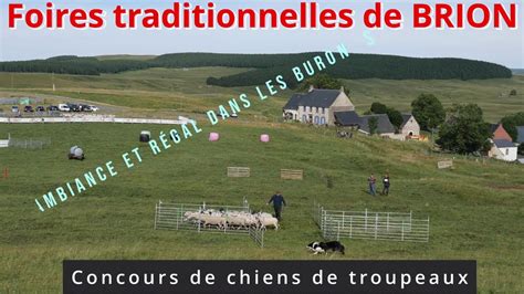 Foires Traditionnelles De BRION Concours De Chiens De Troupeaux Et