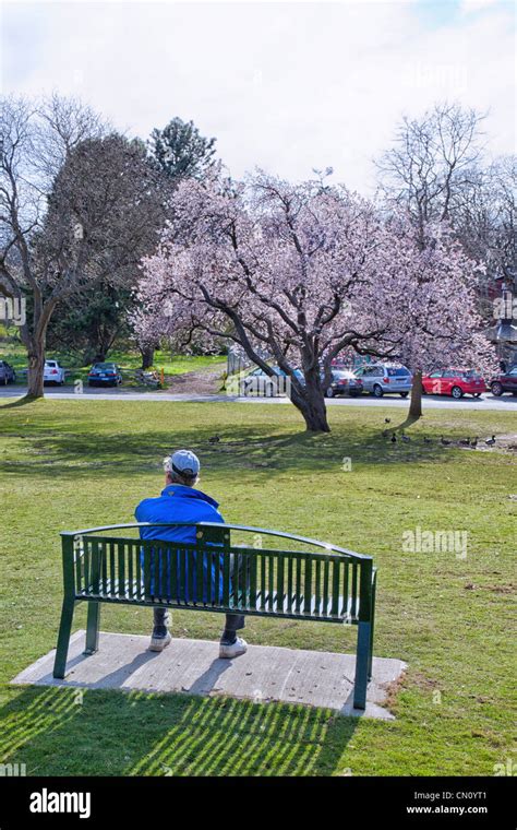 Beacon Hill Park Victoria Bc Canada Stock Photo Alamy