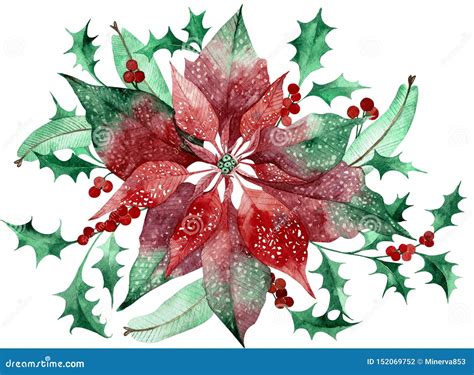 Watercolor Poinsettia With Christmas Floral Decor Hand Painted