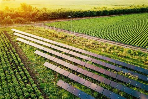 Como Usar E Obter Lucros A Energia Solar Na Agricultura Hcc