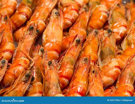 Closeup Fresh Shrimp In Row Stock Photo Image Of Head Crustacean