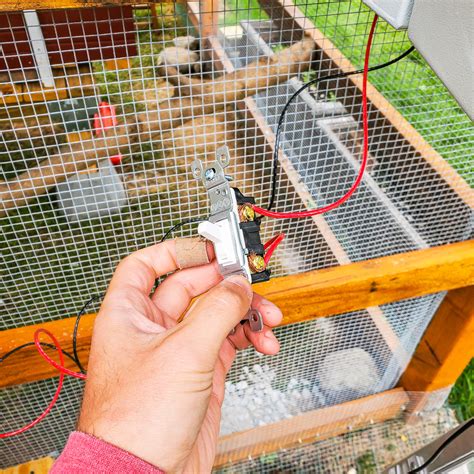 Solar Powered Chicken Coop And Water System MeatyCluckers