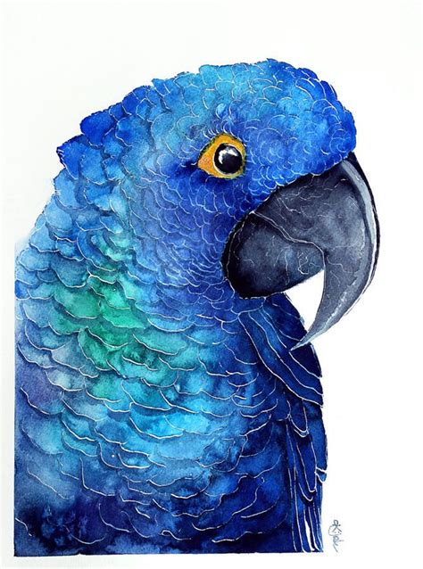 Blue Parrot By Kakiaart Parrots Art Bird Art Parrot Drawing