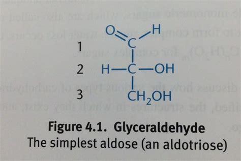 Biochemistry Chapter Carbohydrates And Glycobiology Flashcards