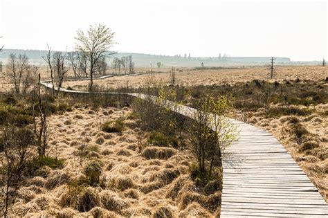 Barrierefreier Urlaub In Eupen Outdooractive