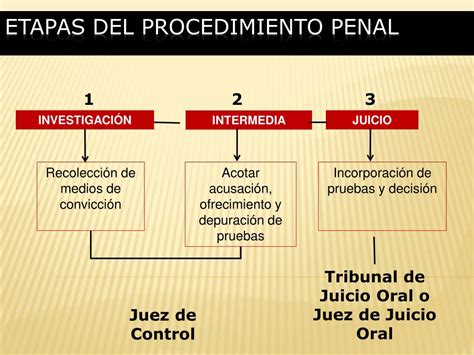 Etapas Del Procedimiento Penal Acusatorio Image To U